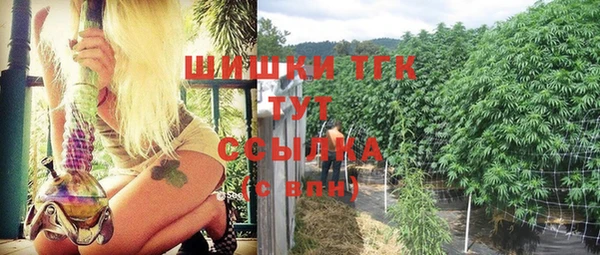 гидра Вязьма