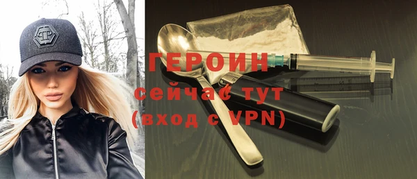 гидра Вязьма
