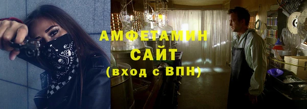 твердый Вяземский