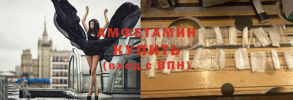 гидра Вязьма