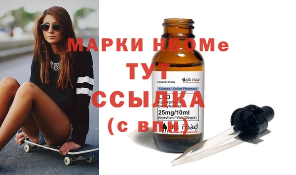 гидра Вязьма
