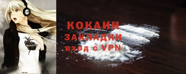 гидра Вязьма