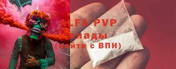 твердый Вяземский