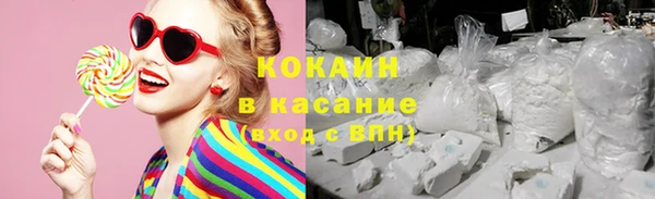 твердый Вяземский
