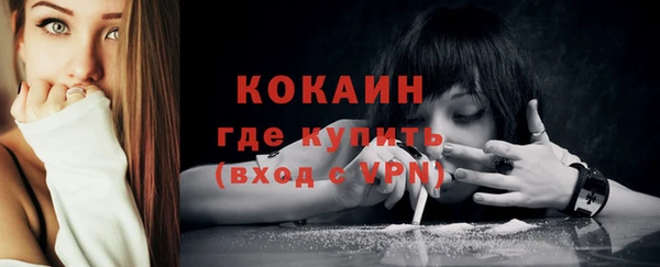 твердый Вяземский