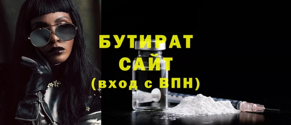 гидра Вязьма