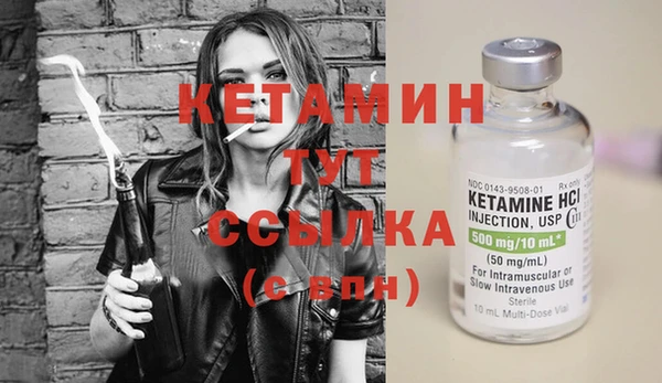 гидра Вязьма