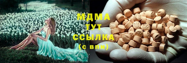гидра Вязьма