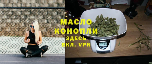 гидра Вязьма