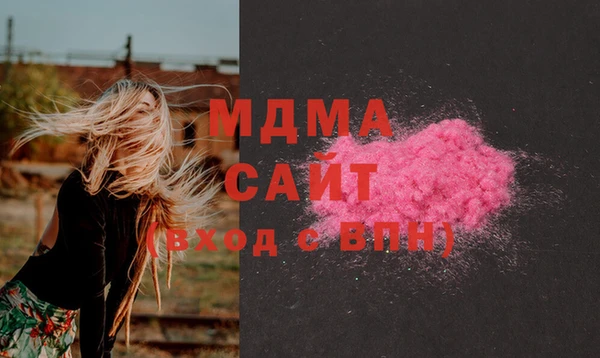 гидра Вязьма