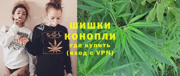 твердый Вяземский