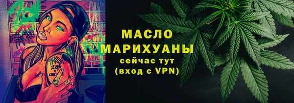 гидра Вязьма