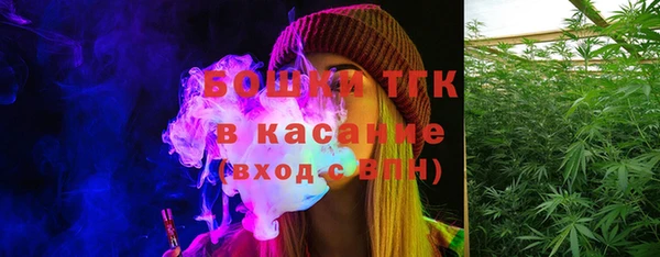 твердый Вяземский