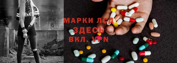 гидра Вязьма