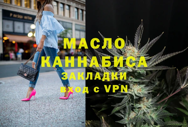 гидра Вязьма