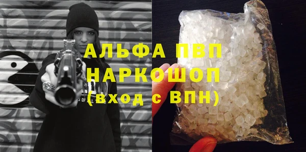 гидра Вязьма