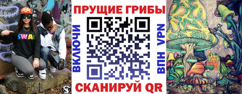 Галлюциногенные грибы Psilocybe  Купить где  Североморск 